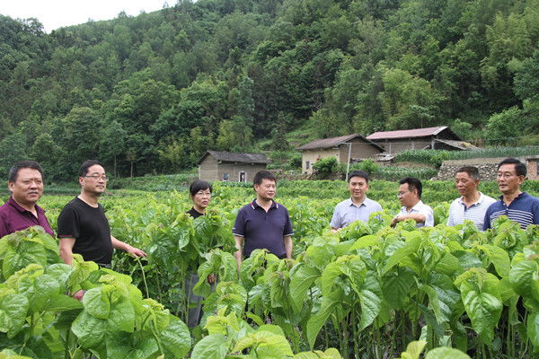 安康市商務(wù)局領(lǐng)導(dǎo)來(lái)我公司調(diào)研春蠶收購(gòu)及扶貧點(diǎn)蠶?；亟ㄔO(shè)情況